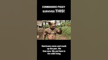 Commando Piggy survives THIS! #jamaicancomedy #jamaica #jamaicanmemes #shorts