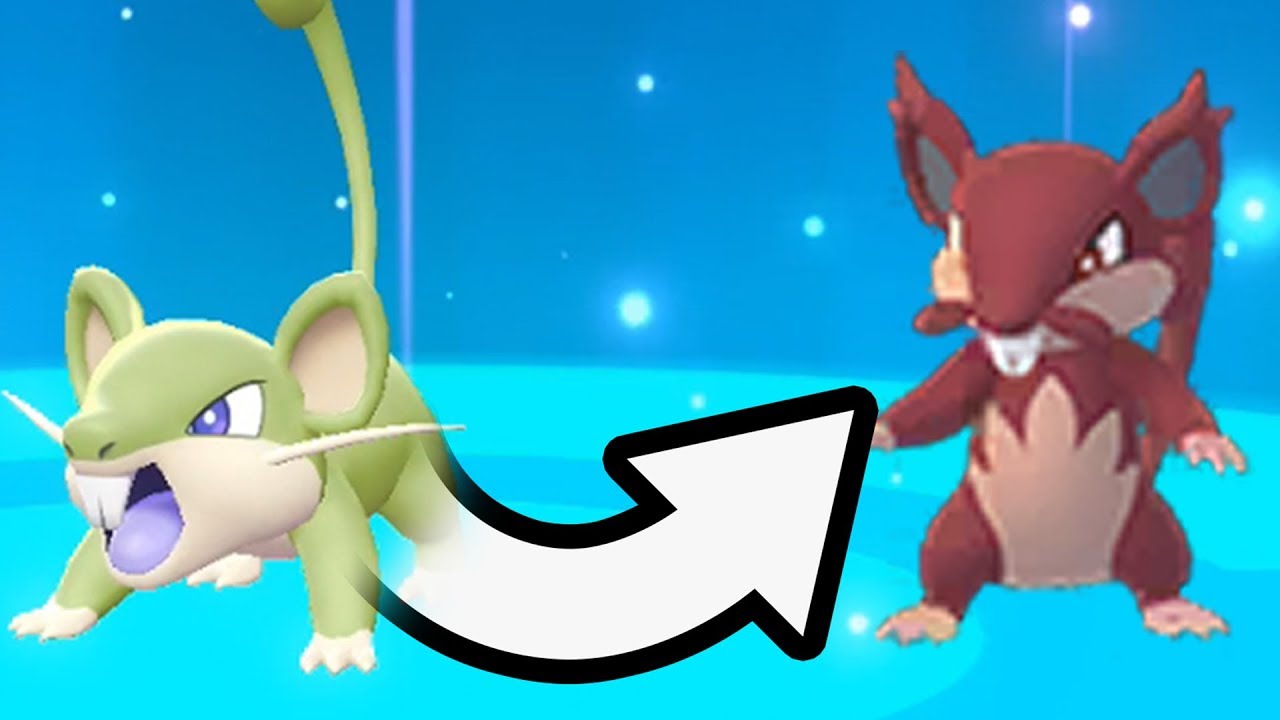 Alolan Rat popped shiny after 4181 trades. : r/PokemonLetsGo