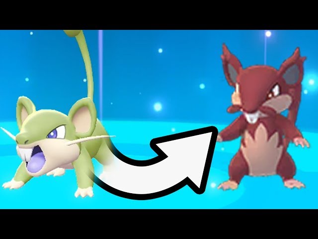 Alolan Rat popped shiny after 4181 trades. : r/PokemonLetsGo