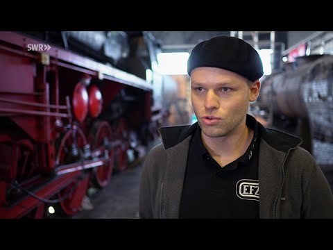 Lokdown - Überleben
