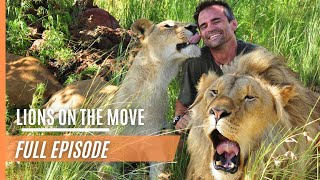 Lions On The Move  Ep. 1 | Full Episode