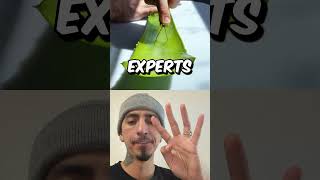 Download Lagu Cotton #fyp #shorts #trending MP3