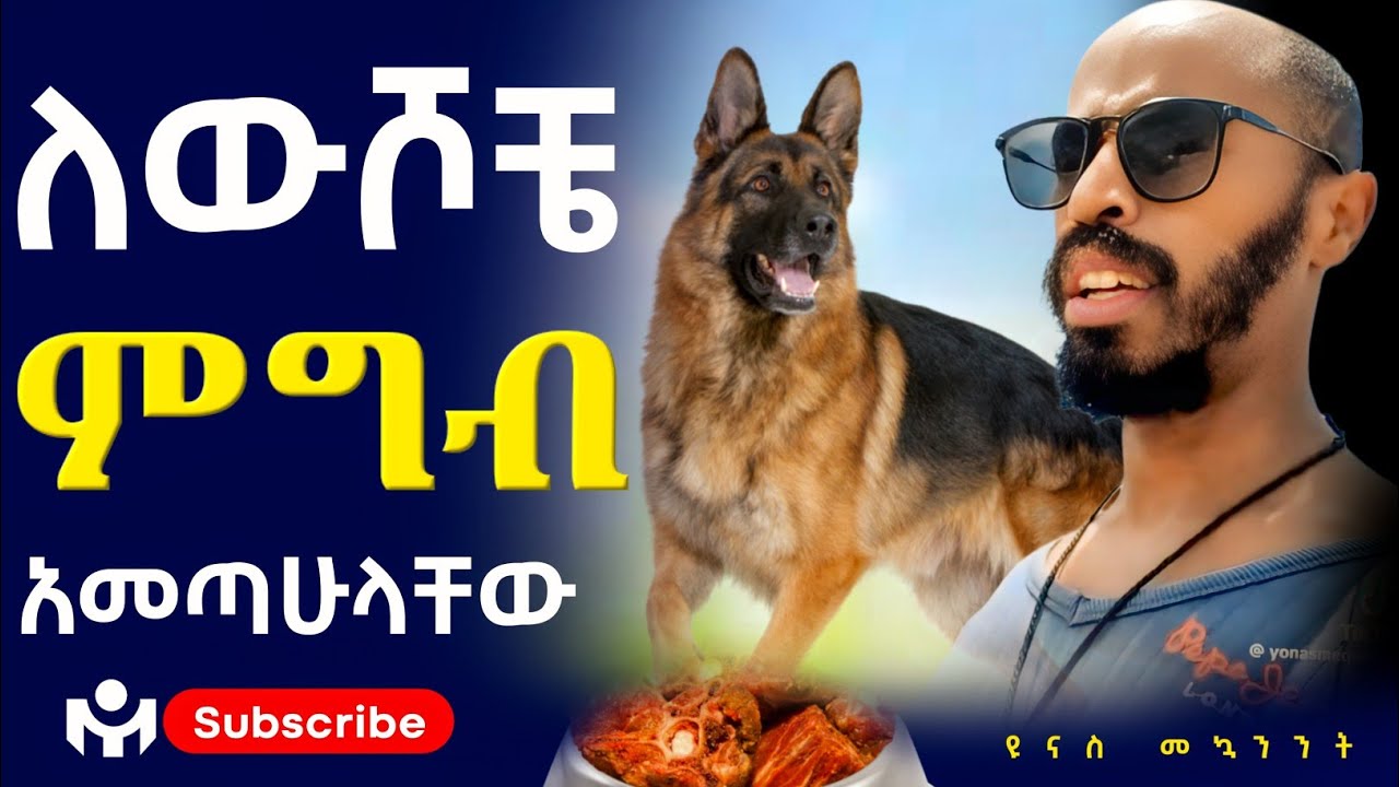 ለ ውሾቼ  የአሳ ስጋ  አበላኋቸው።#yonasmequanint 