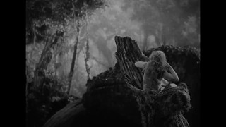 King Kong (1933) — Battle with Tyrannosaurus