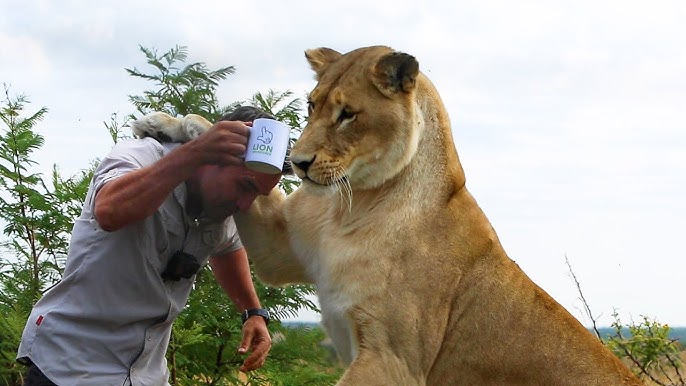 How to Track a Leopard - Kevin Richardson Foundation