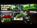 Aquascape Tutorial: SHRIMP CUBE AQUARIUM (How To Step by Step Planted Tank Guide)