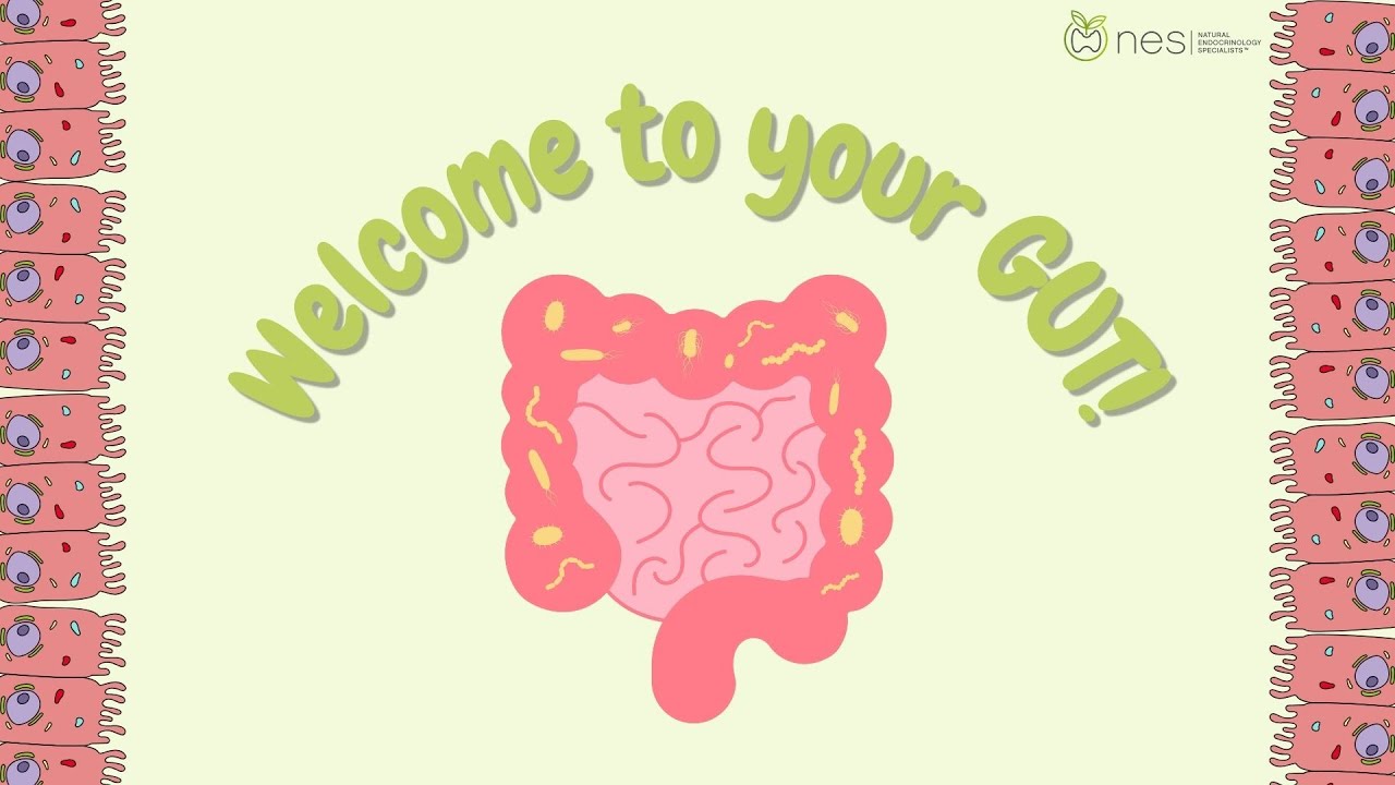 The Power of Gut Health | Natural Endocrinology Specialists™ - YouTube