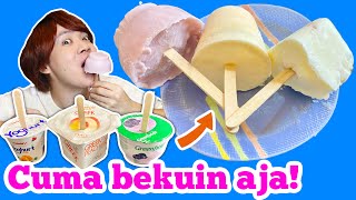 Yogurt Langsung Jadi Es Krim Enak Sumpah