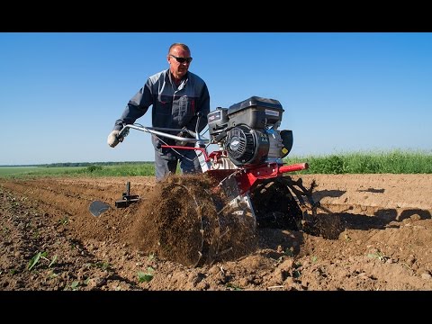 Vídeo: Cultivadors 