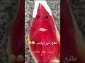والله هو راس نصف بطيخه هل لو قلنا الله اكبر راح تطير البطيخه يعني