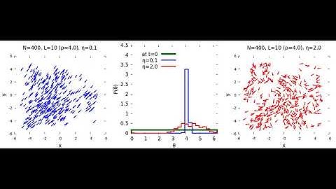 Velocity morphologies & angular distributions of velocities of Vicsek particles in low & high noise
