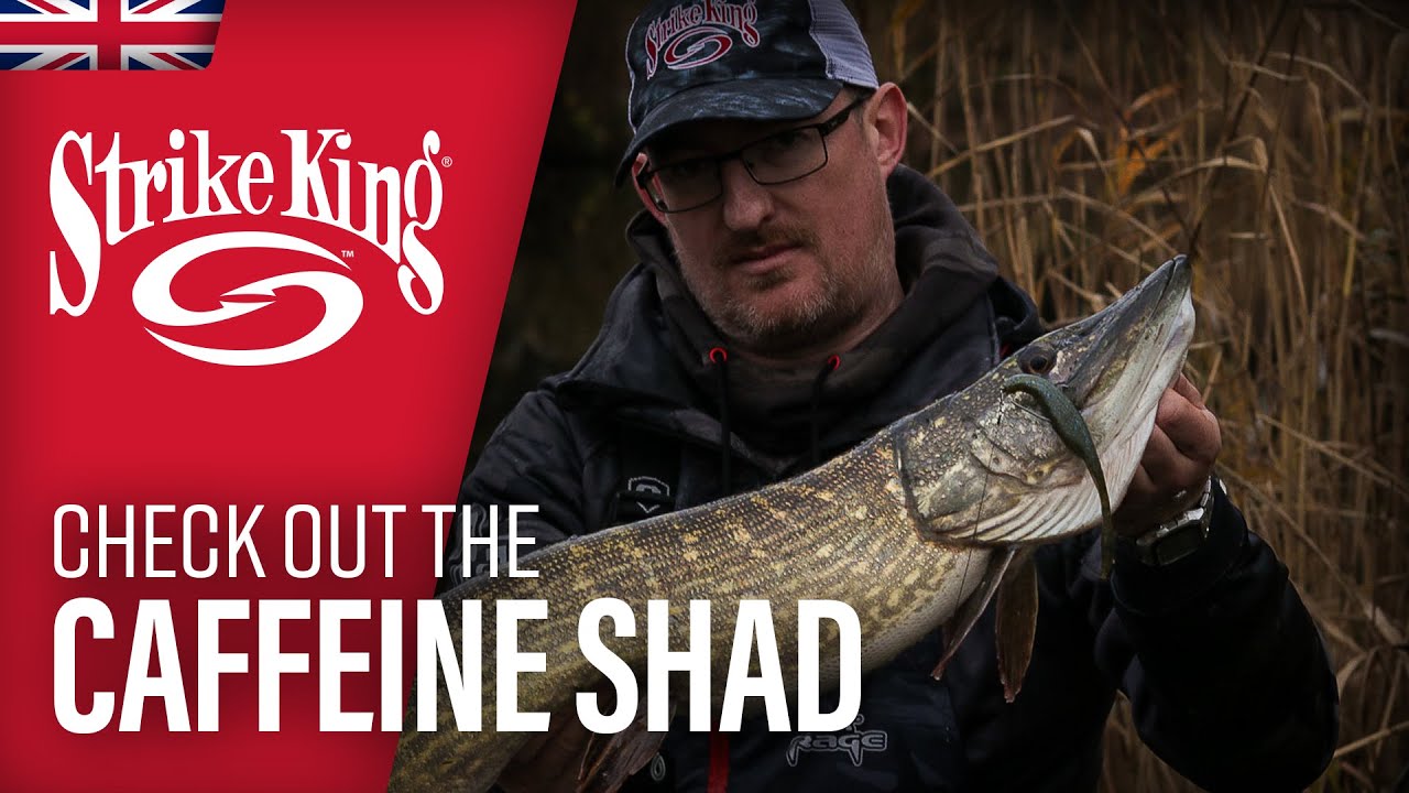 Check out the Strike King Caffeine Shad 