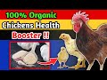 100% Organic Chicken Health Booster👌| Feeding Garlic to Chickens & Process | Organic Chicken Farming