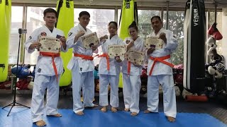 TORNADO MMA Promotion Yellow Belt To Orange Belt