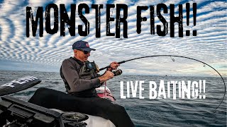 Hit Like a TRUCK, Ran Like a FREIGHT TRAIN – Pure Power & Chaos! Offshore Kayak Fishing, Gold Coast!