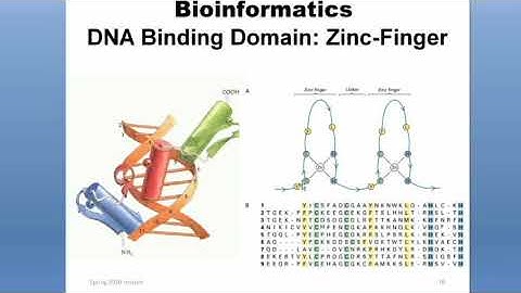 Sp 2020 Bioinformatics Lecture 2