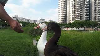 eco park Hadera