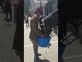 🐴Watch This Horse's Priceless Reaction to Getting a Drink on a Scorching Day😁