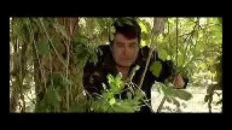 Suhan Orazberdiyew - Yar yar | Сухан Оразбердиев - Яр Яр