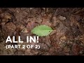 All In! (Part 2 of 2) — 09/08/2021