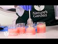 Learn how to make scoopable wax natures garden