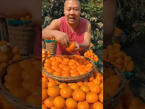 Video: Tumbuh Buah Jeruk - Jenis Buah Berwarna Oranye