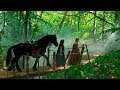 Family Fantasy Adventure Films :  Albion- The Enchanted Stallion