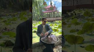 Vitaliy I.V.A. E-Major short impro under the willow