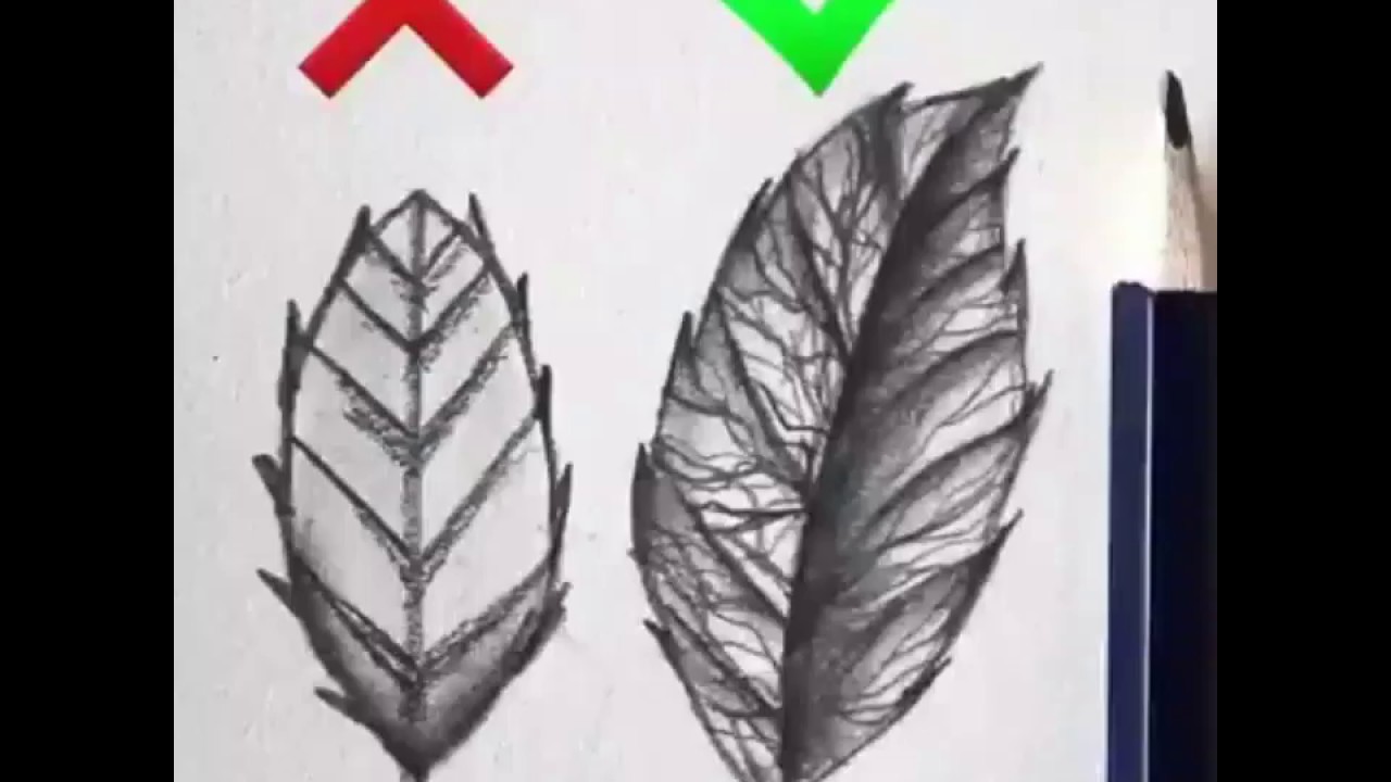 نصائح في تعليم الرسم طريقة رسم ورقة شجر بشكل محترف Youtube