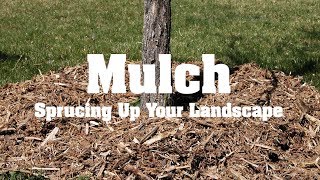 Mulch - Sprucing Up Your Landscape