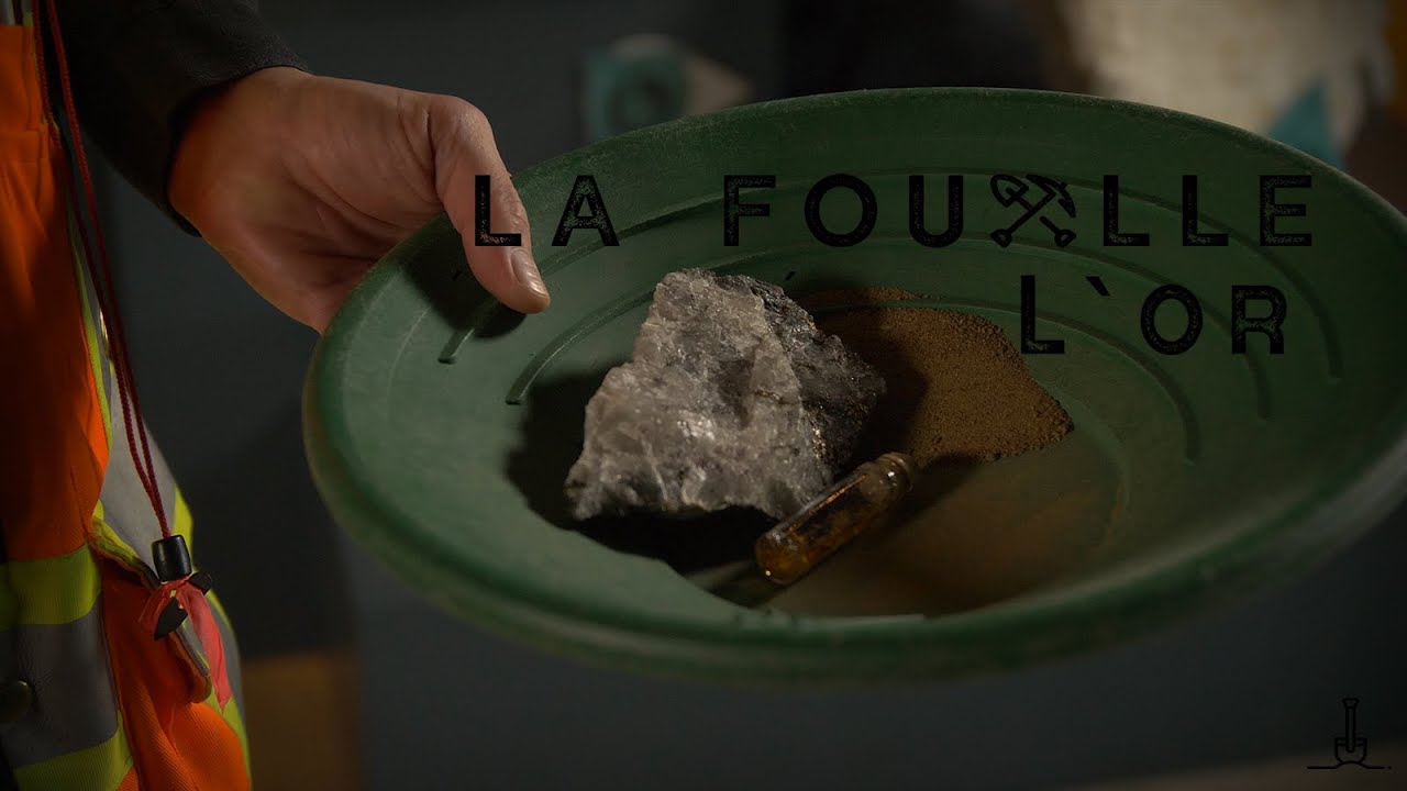 Download La Fouille: L'or