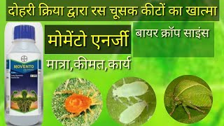 Bayer Momento Energy Best Ing Pest Controller Momento Energy