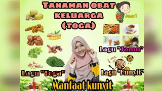 Lagu tema tanaman obat keluarga (Toga) RA Manbail Futuh