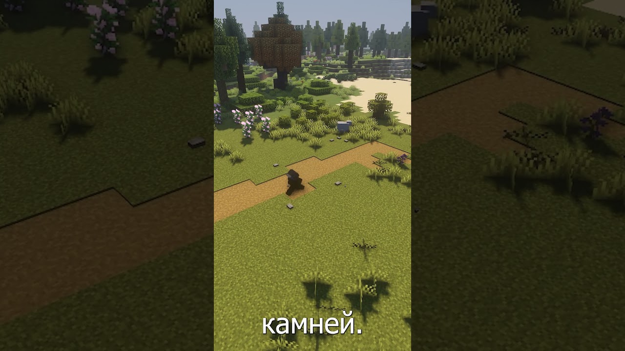 Декоративная дорога в Майнкрафте 