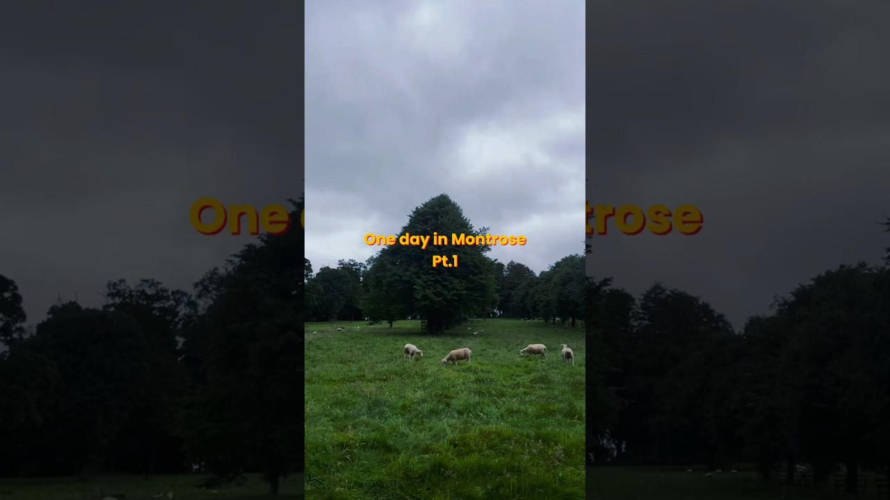 One day in Montrose.✨House of Dun. 