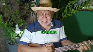 Mi Cuatro Romántico - La Concha (D.D)