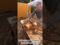 I love this process…the wood underneath comes to life!