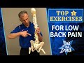 Top 5 Exercises For Chronic Low Back Pain