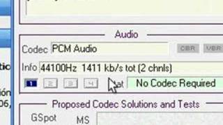 Tutorial GSpot screenshot 4