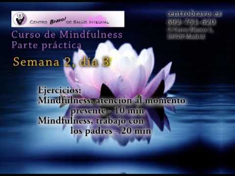 Curso de Mindfulness práctica Semana 2 día 3