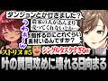 【#ストリヌ】5日目まとめ | がんばって計算中の日向まるを質問攻めにする叶【にじさんじ/叶/切り抜き】