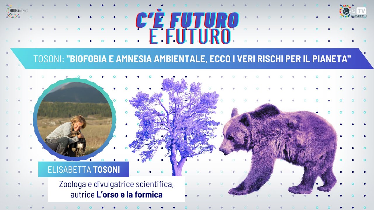 Tosoni: 