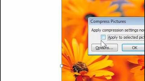 How to change the resolution of a picture in PowerPoint