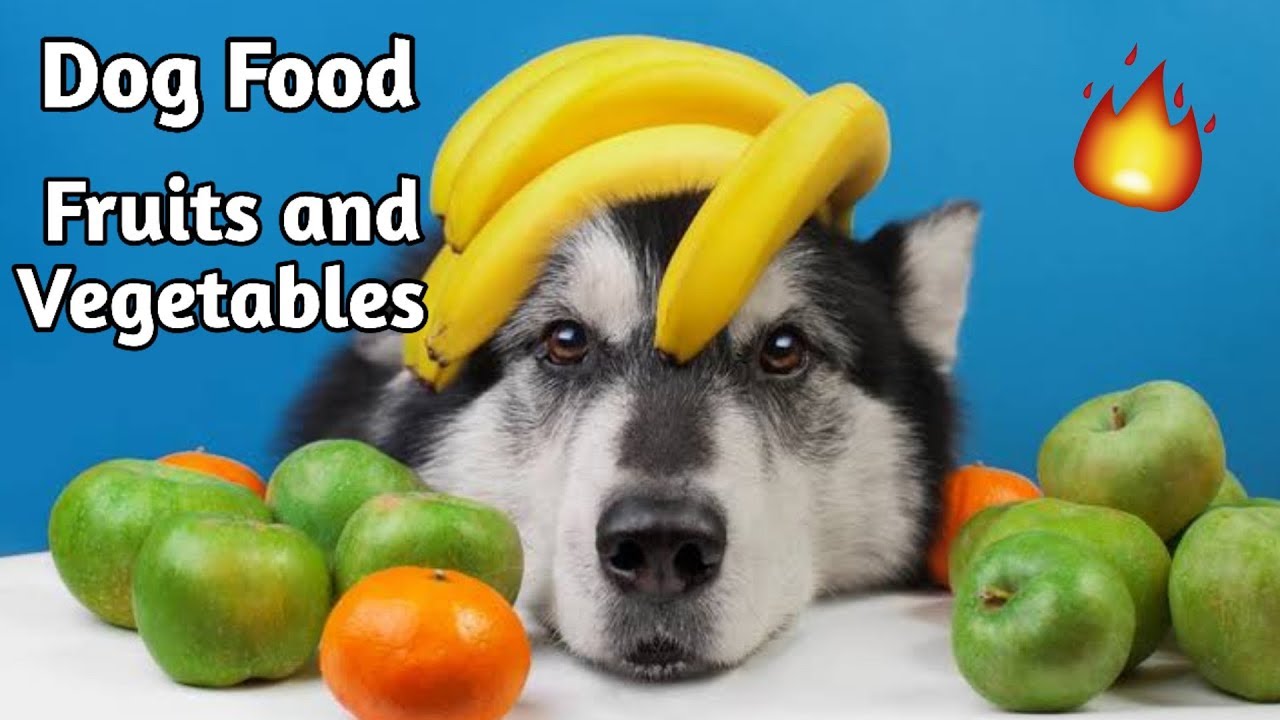 Fruits and Vegetables for dogs Good or Bad / in Hindi / Fruits and  vegetables for Dogs - YouTube