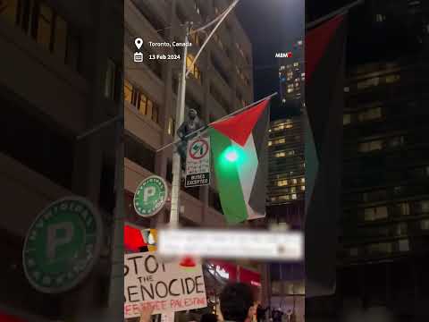 ‘Spiderman’ holds Palestinian flag during protest in Toronto