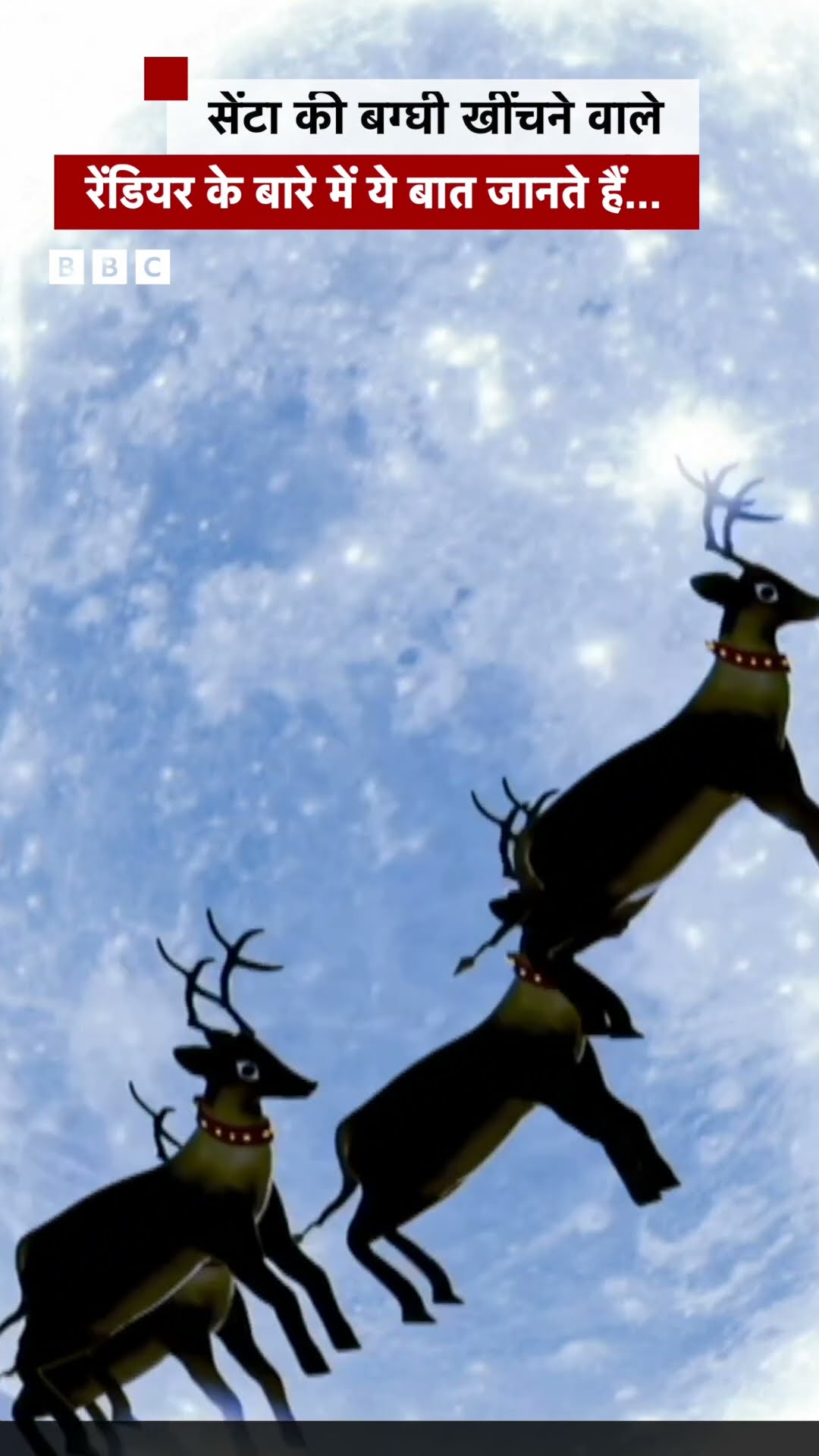 Santa Claus की बग्घी खींचने वाले reindeer के बारे में पता चली ये अनोखी बात #christmas #shorts