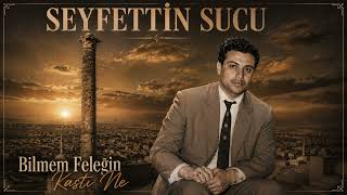 Maden Dağı Dumandır - Seyfettin Sucu (002 : Bilmem Feleğin Kastı Ne Albümü)