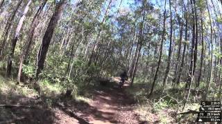 Daisy Hill with RSR 20150201