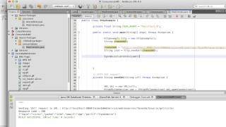 Web Service REST:JAVA - parte 4 - consumindo no JAVA