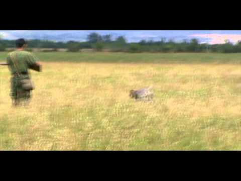 ჩვენი ნადირობა